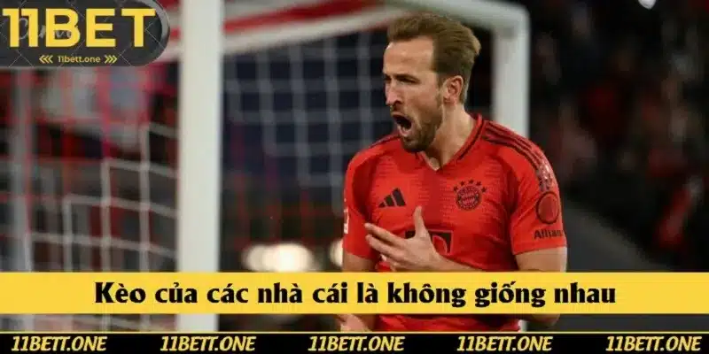 Giữa các nhà cái đều có sự khác nhau về tỷ lệ kèo Giữa các nhà cái đều có sự khác nhau về tỷ lệ kèo