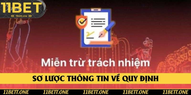 Sơ lược thông tin về quy định miễn trừ trách nhiệm Sơ lược thông tin về quy định miễn trừ trách nhiệm