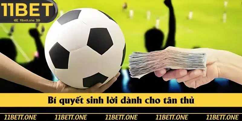 Bí quyết sinh lời dành cho tân thủ Bí quyết sinh lời dành cho tân thủ